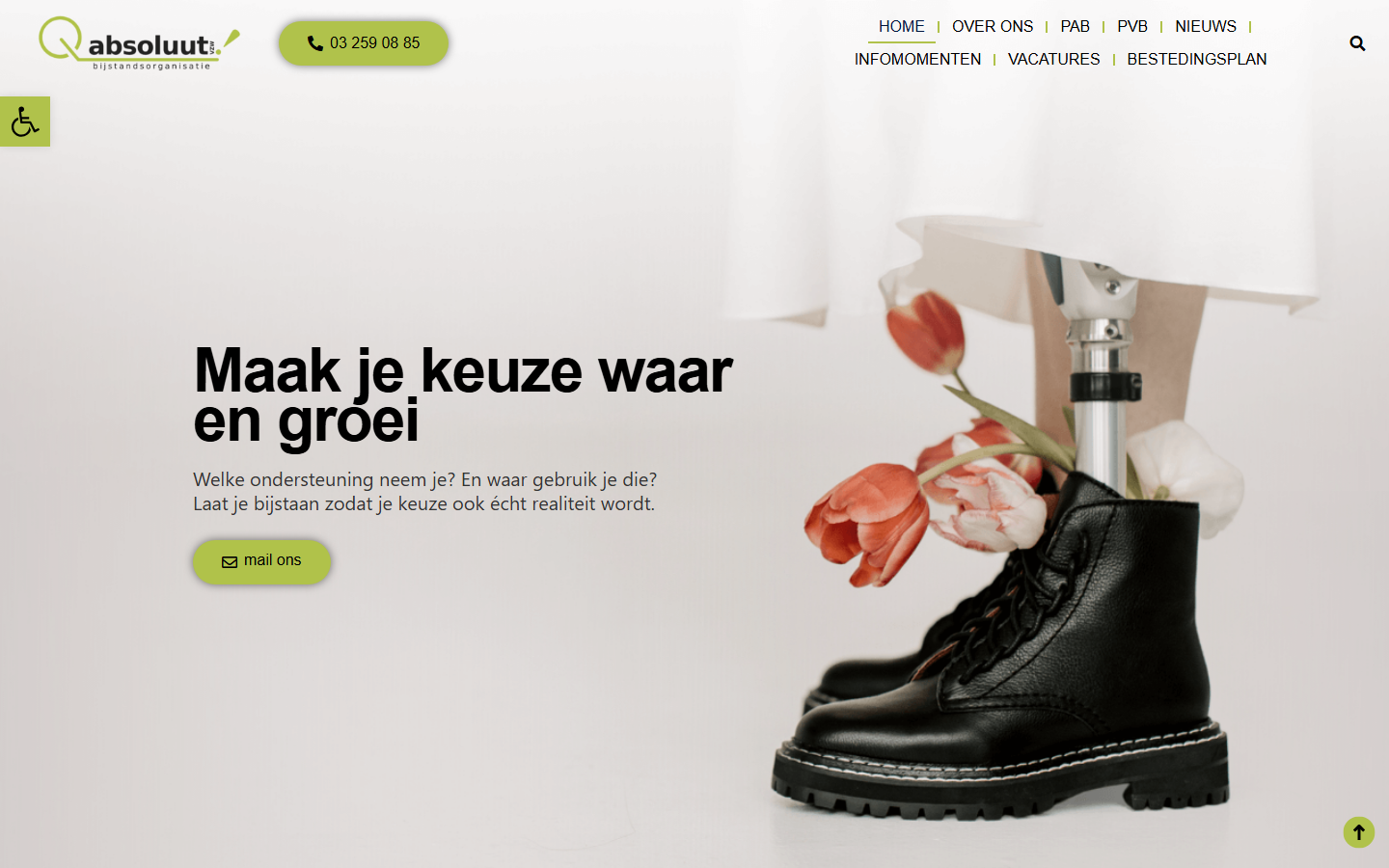 Desktopweergave van de website van Absoluut VZW