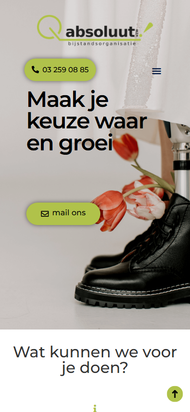 Mobiele weergave van de website van Absoluut VZW