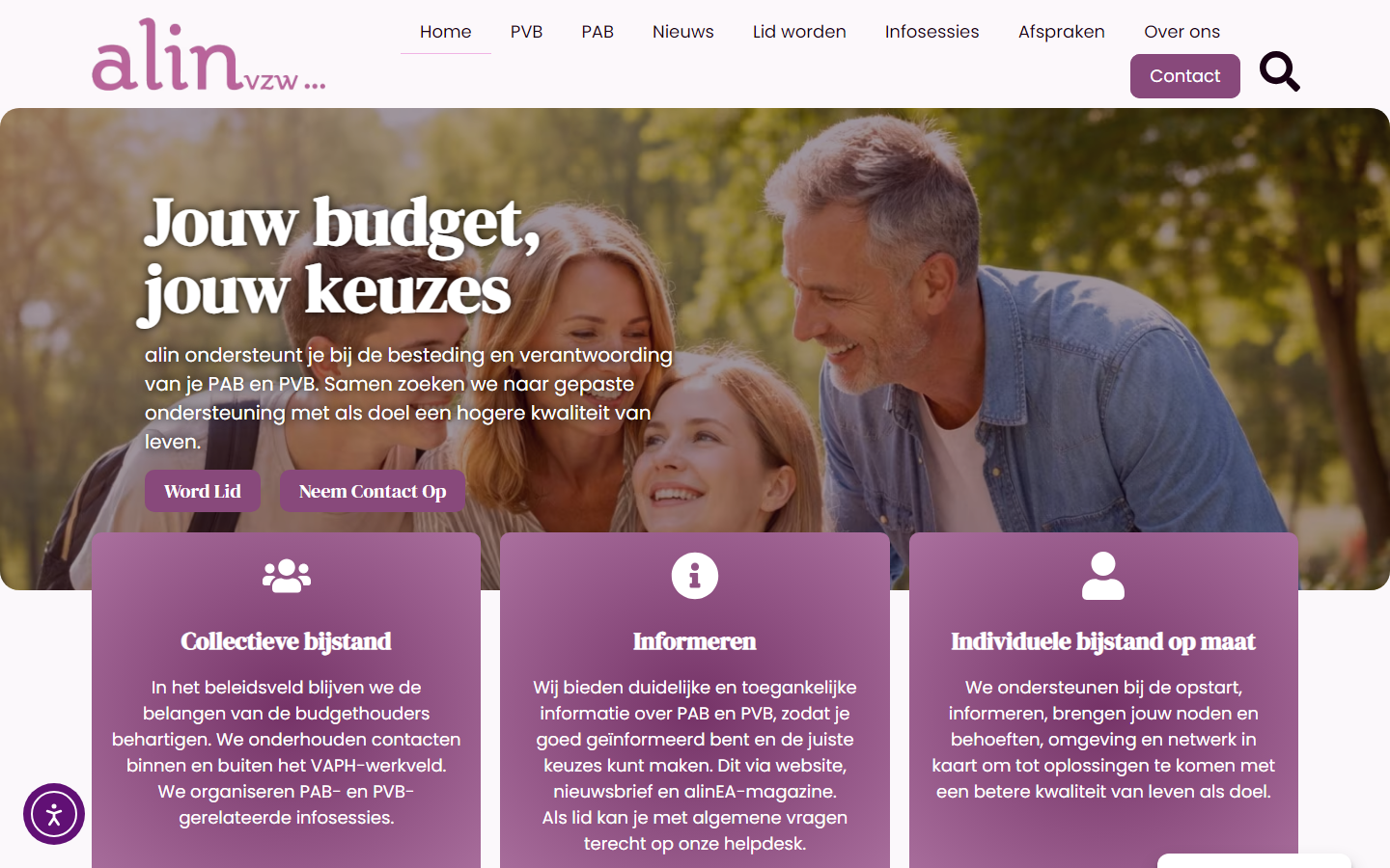 Desktopweergave van de website van Alin VZW