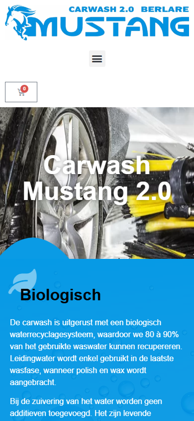 Mobiel Carwash Mustang