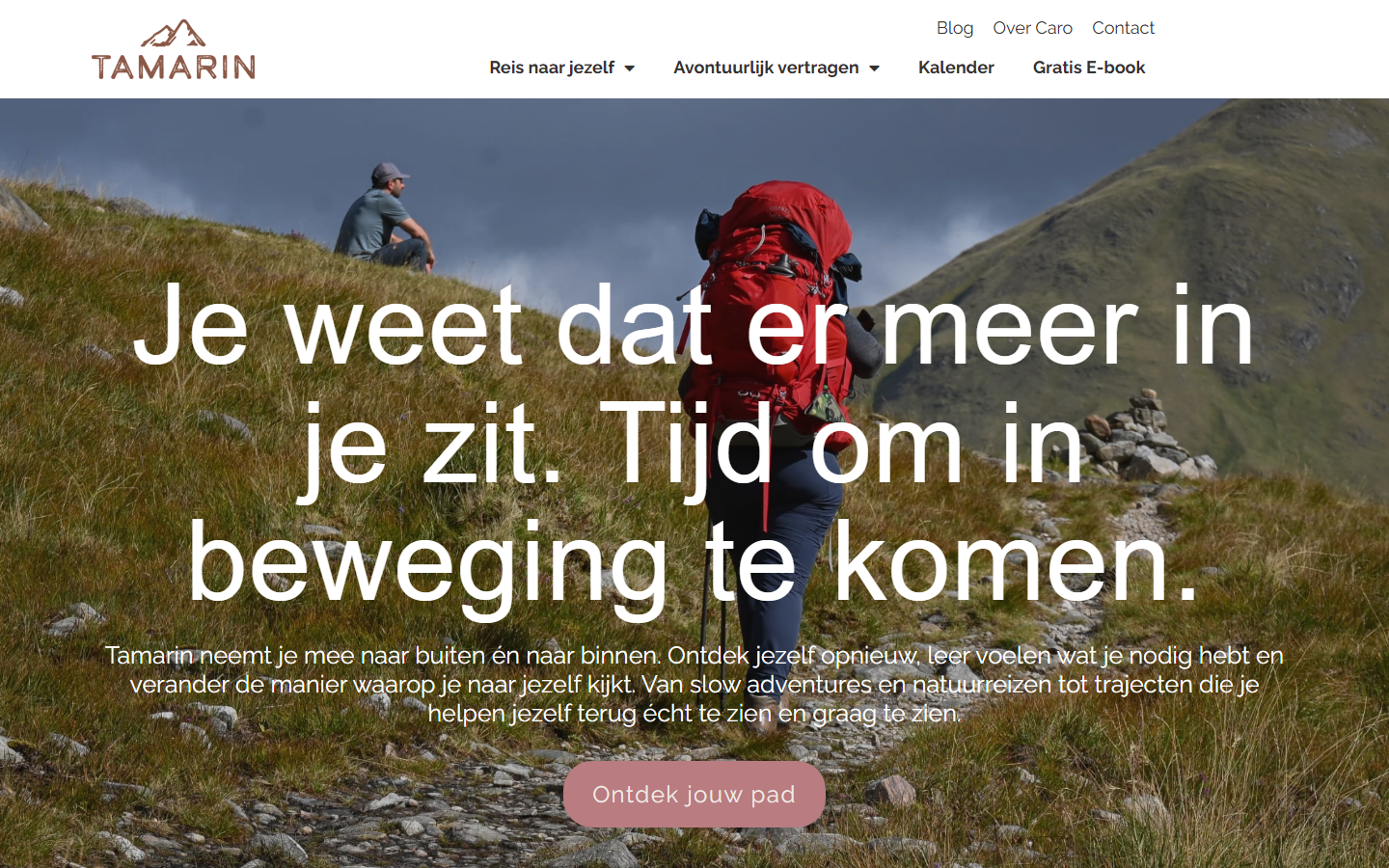 Desktopweergave Tamarin